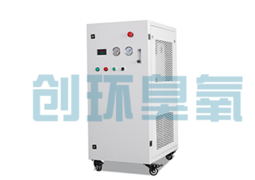 肥乡石斑鱼养殖水质调控完整指南：臭氧发生器配置与操作步骤