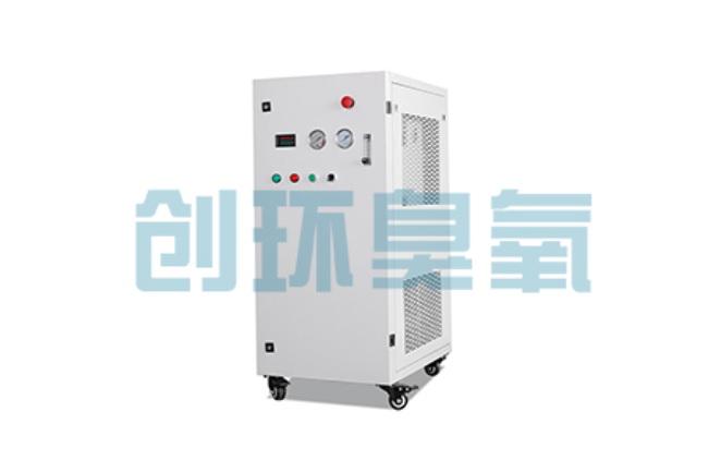 肥乡比传统换水更高效？臭氧发生器在石斑鱼养殖中的水质净化原理解析