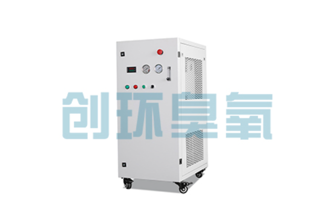 肥乡比传统换水更高效？臭氧发生器在石斑鱼养殖中的水质净化原理解析